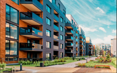 🏗️Skyline Business Hub